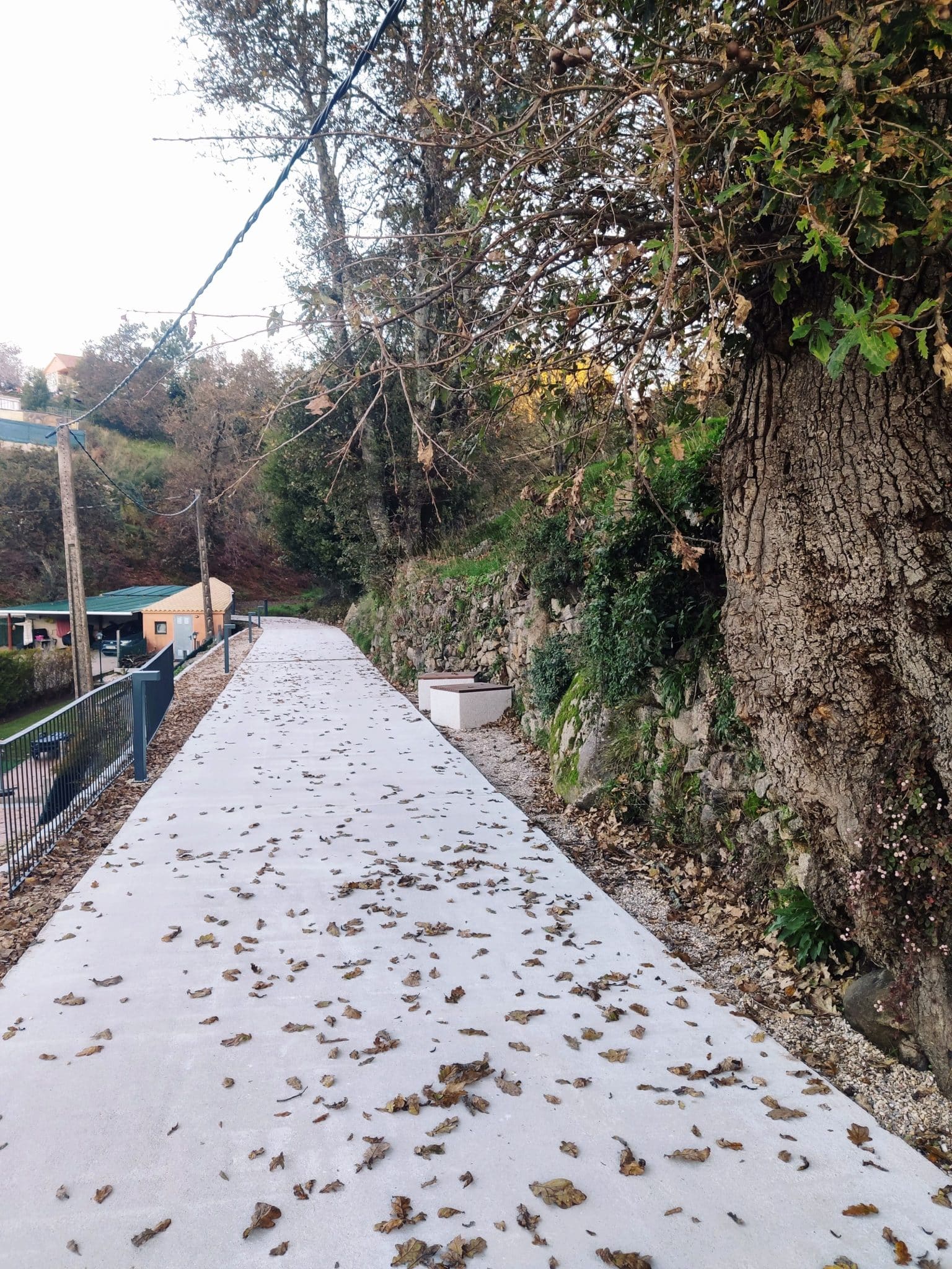 Proyecto de adecuación y puesta en valor del rueiro tradicional Camiño Gulfar (Gondomar)