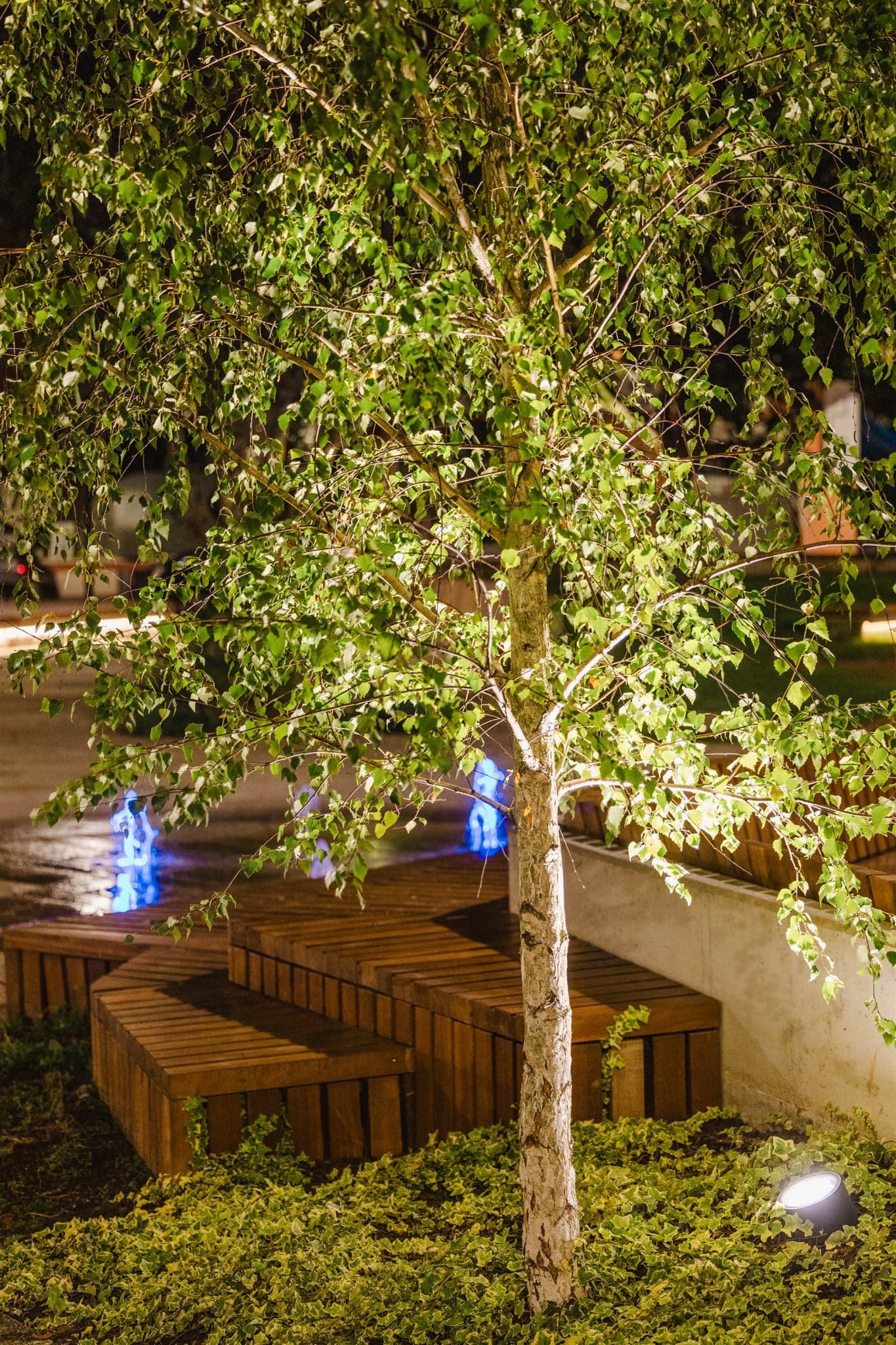 Proyecto de acondicionamiento urbano-sostenible en la Plaza Rosalía de Castro Gondomar pontevedra